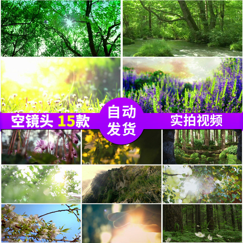 唯美小清新树叶绿叶树林阳光空镜头 大自然春天实拍竹林视频素材