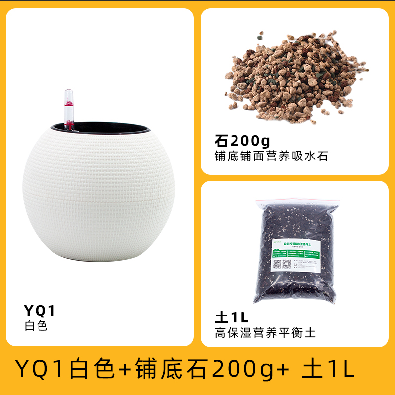 简约球形自动吸水小花盆懒人塑料盆景盆室内桌面多肉绿萝盆防烂i.