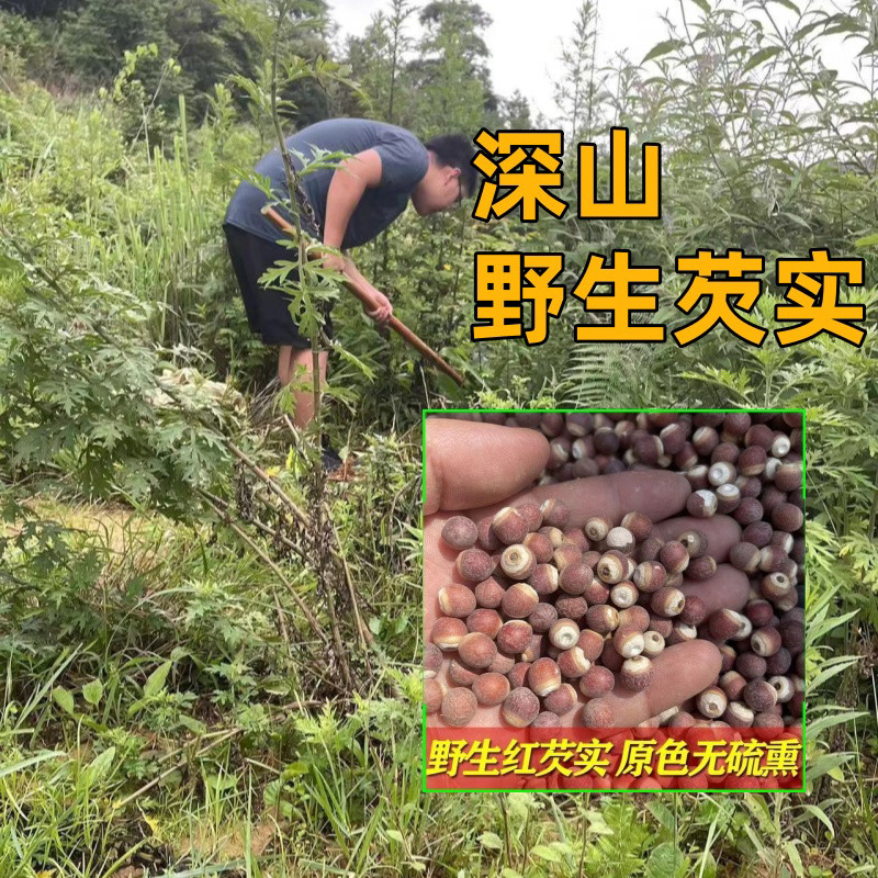 云南深山野生芡实500克