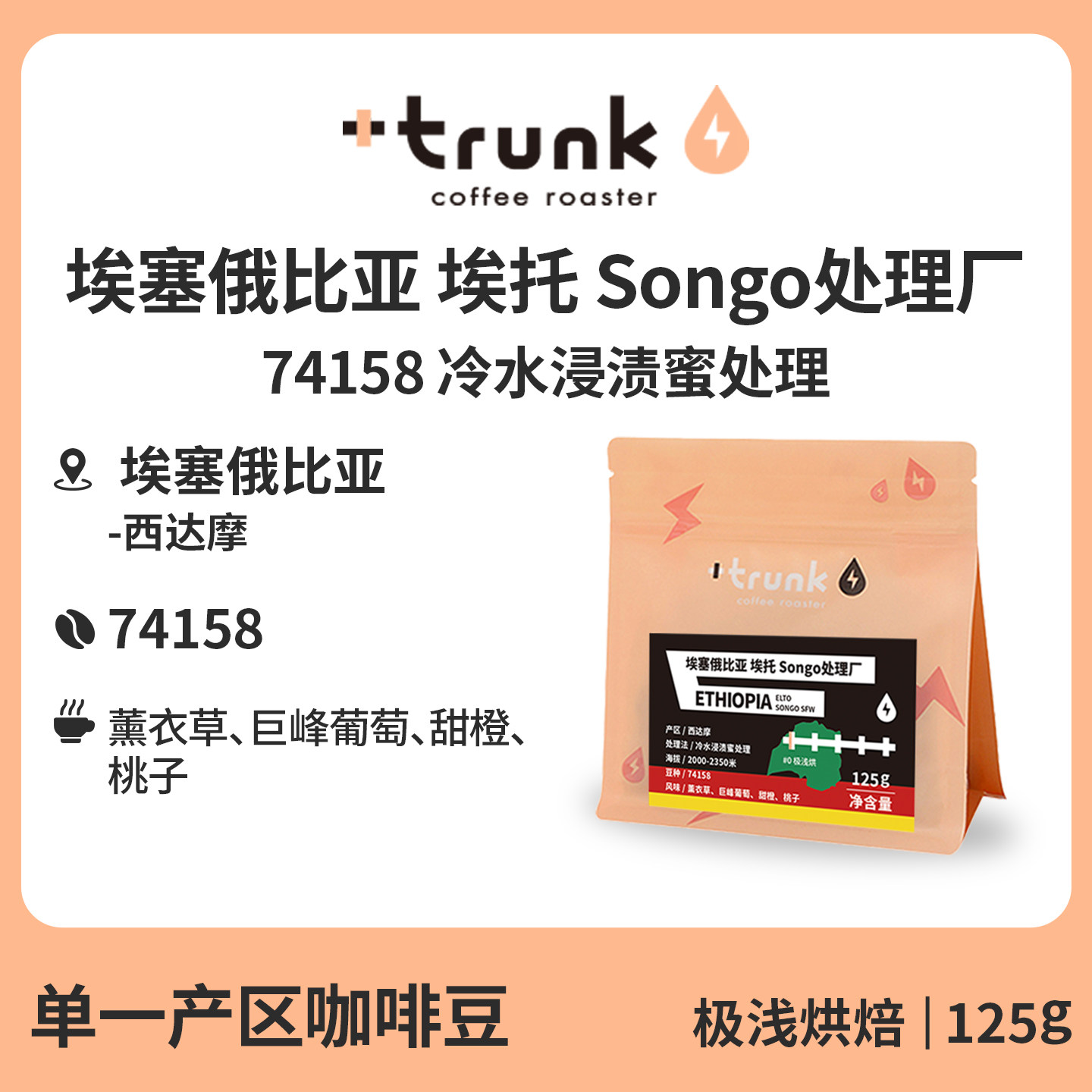 26产季 埃塞俄比亚Elto Songo处理厂74158咖啡豆浅烘手冲单品美式