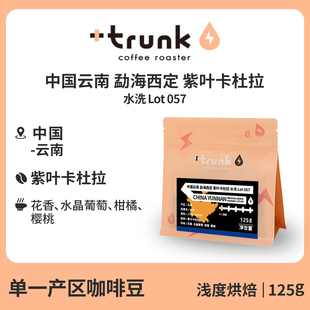 中国云南勐海西定云端庄园 紫叶卡杜拉057水洗手冲咖啡豆黑美式