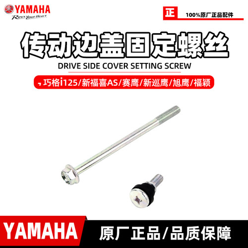 蓝芯发动机传动箱边盖螺丝