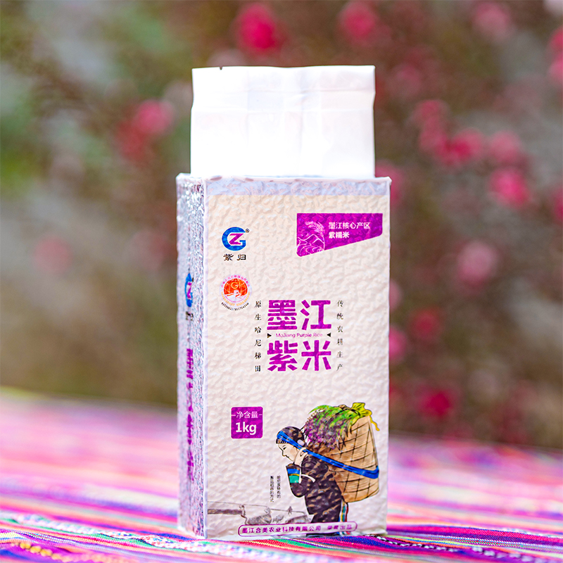 云南墨江高山老品种紫米