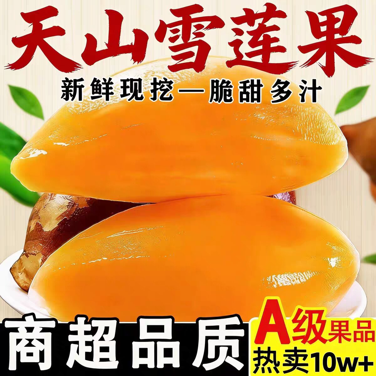 现货新果！雪莲果云南天山黄肉雪莲果新鲜水果脆甜多汁9斤包邮5