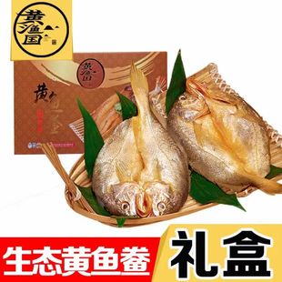 温州特产黄渔国黄花鱼大小黄鱼 黄鱼鲞团购送礼礼盒装248克*6条