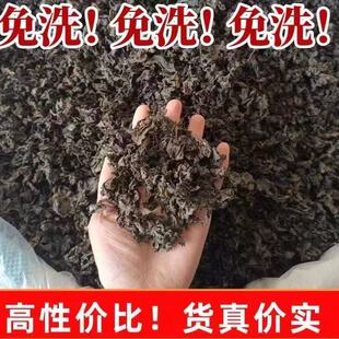 【七A级免洗】地皮菜新鲜现摘晒干精选野生地木耳雷公炒菜纯天然