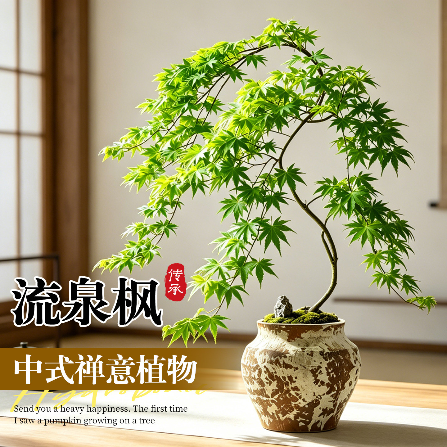 流泉枫盆栽室内客厅桌面书房办公室绿植造型盆景四季好养观叶植物
