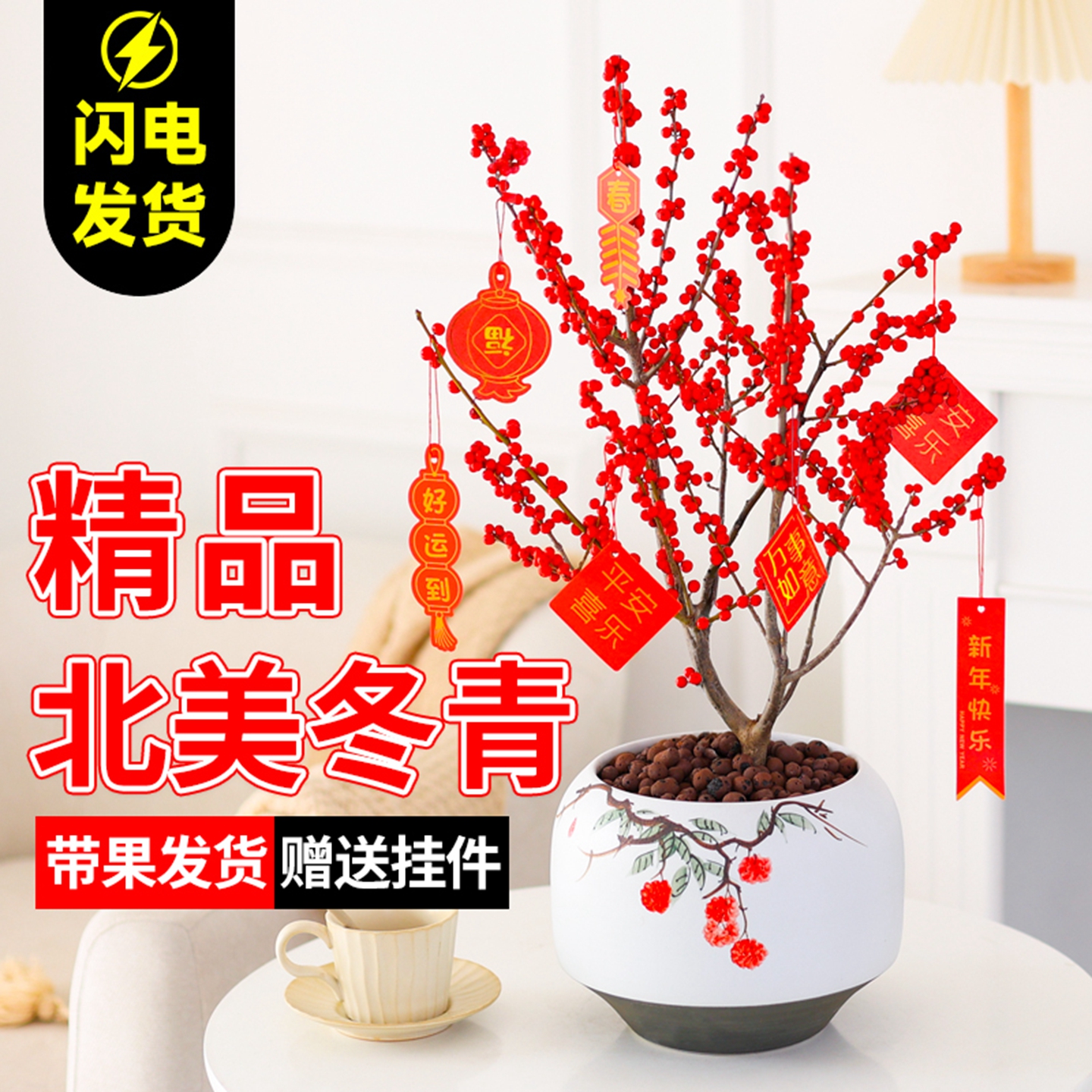 进口北美冬青树苗盆栽带果年宵花耐寒花卉植物室内办公室老桩盆景
