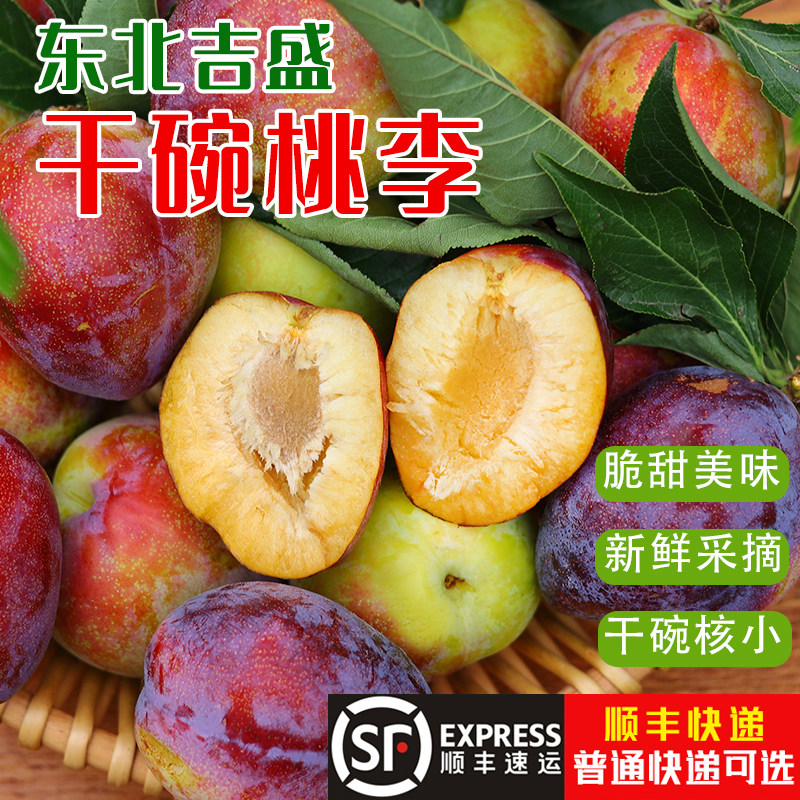 东北新鲜应季水果吉胜李子干碗离核脱骨香蕉李子农家种植可顺丰