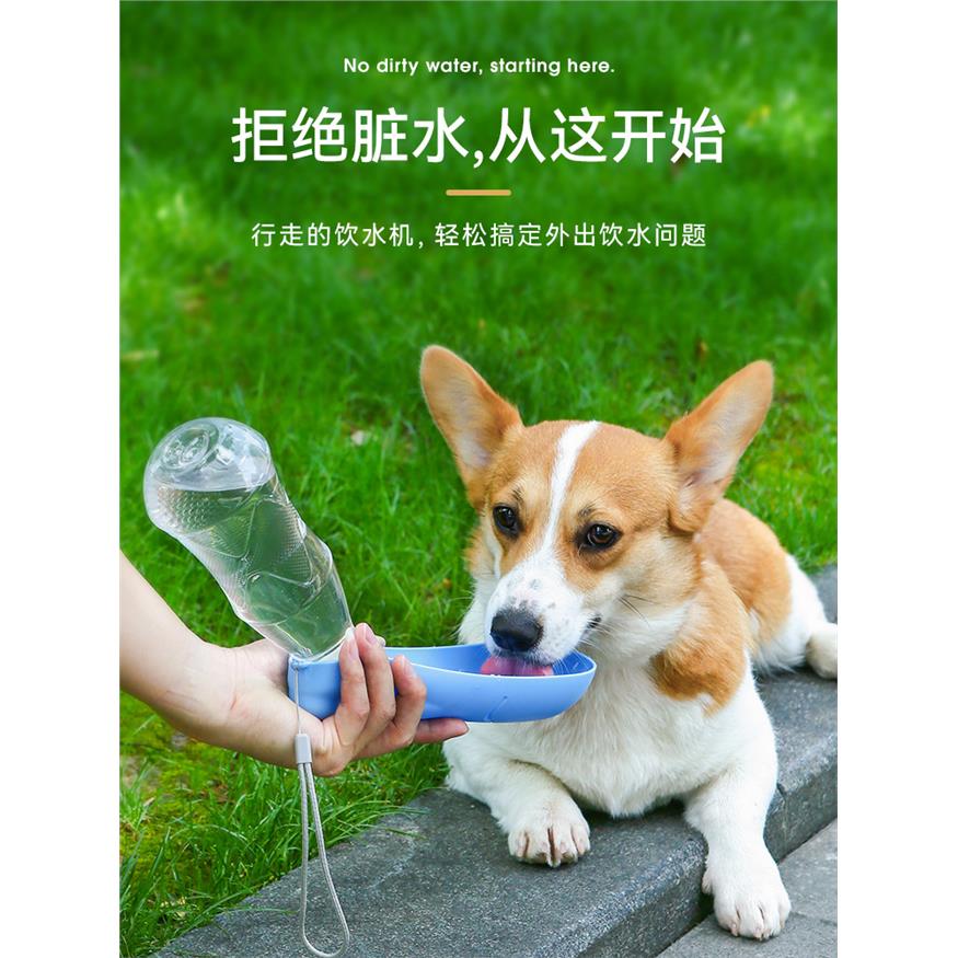 宠物外出水壶杯喝水喂水