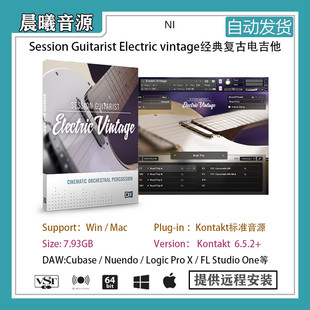 Vintage经典 Session Guitarist Electric 复古电吉他音色含RIFF