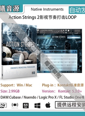 Action Strikes影视管弦打击乐音色含LOOP库 PC MAC编曲标准音源