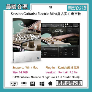 Mint Session Guitarist Electric v1.1.0复古实心电吉他音色库