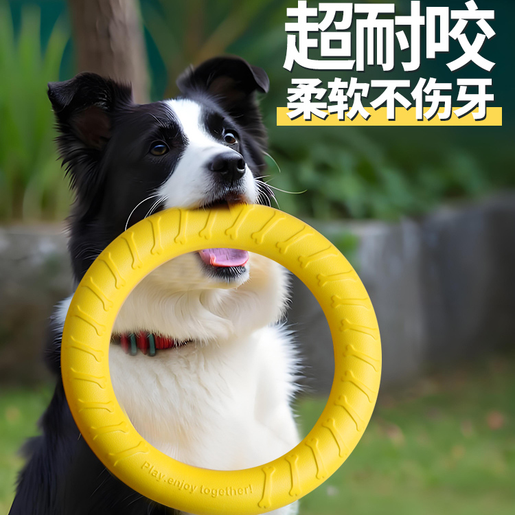 解闷大型犬边牧神器圆环飞盘发声