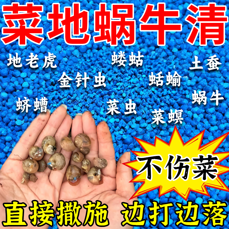 蜗牛药蜗螺菜地特防虫颗粒