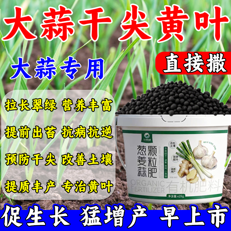 葱姜蒜专用肥料增根壮苗