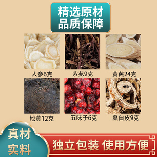 补肺汤原料人参紫苑黄芪地黄五味子桑白皮组合中药材原材料煮水