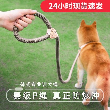 狗狗绳子防爆冲P链遛狗牵引绳防挣脱狗链子中大型犬防爆冲拴狗绳