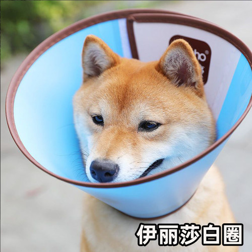 伊丽莎白圈狗狗猫咪项圈脖套防舔咬圈软伊莉莎白圈宠物头套耻辱圈