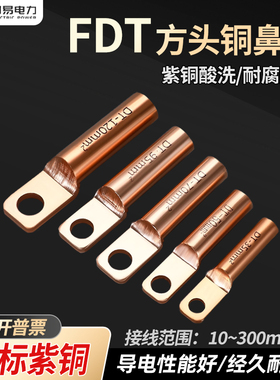 FDT国标方头DT铜鼻子10-300平方铜接线端子断路器空开堵油铜接头