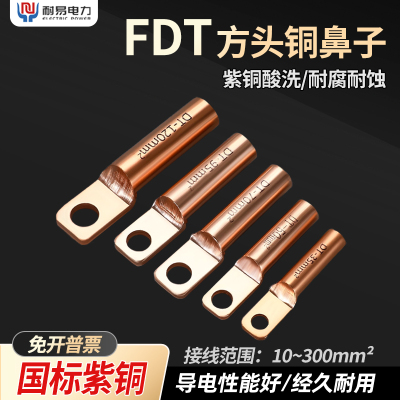 FDT国标方头DT铜鼻子10-300平方铜接线端子断路器空开堵油铜接头
