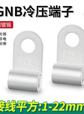FGNB接线端子铜鼻线鼻子冷压端子