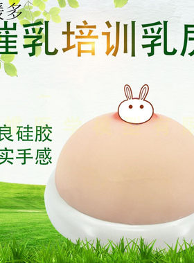 家政母婴护理培训教具 催乳师乳房模型 全硅胶手感真实 假胸乳房