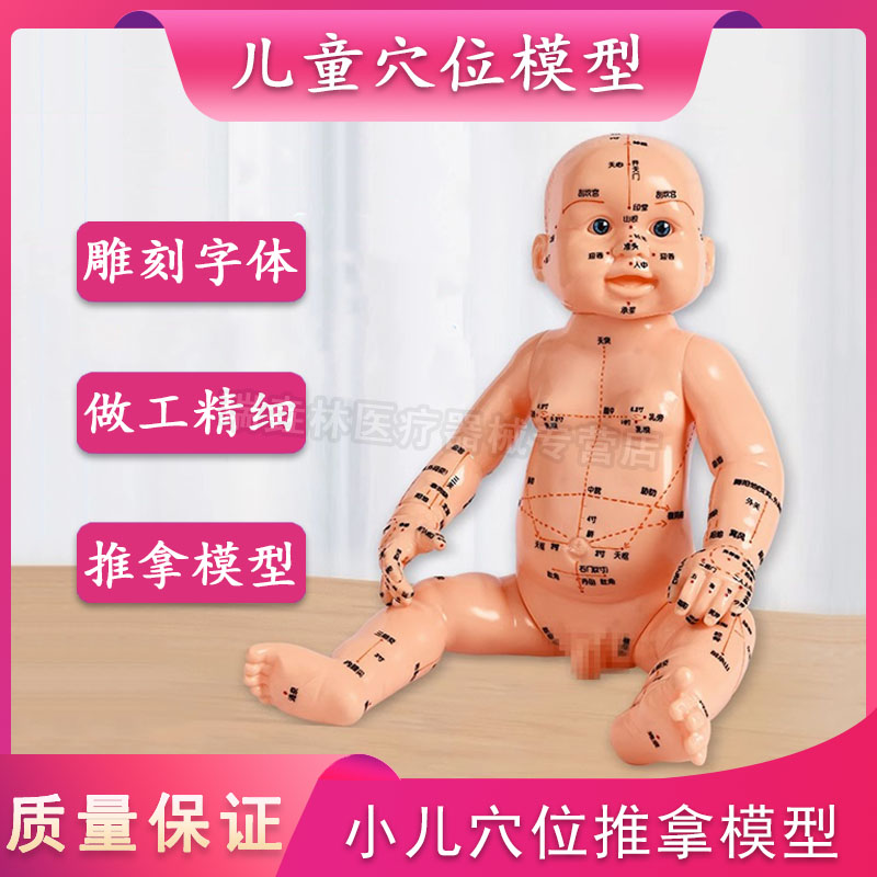 丰帆小儿穴位推拿模型