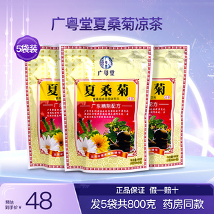 广粤堂夏桑菊凉茶固体饮料广式广东配方中草药颗粒冲剂包正品5袋