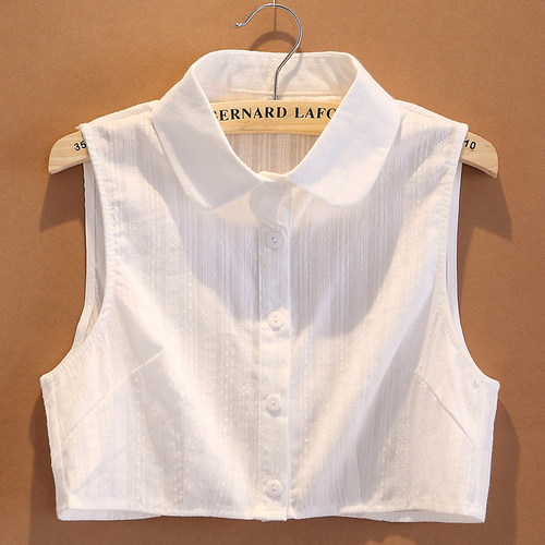 假领子女纯棉秋冬百搭