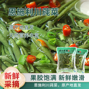 楚杏堂湖北恩施利川土特产莼菜新鲜马蹄菜蔬菜包邮500g非太湖西湖