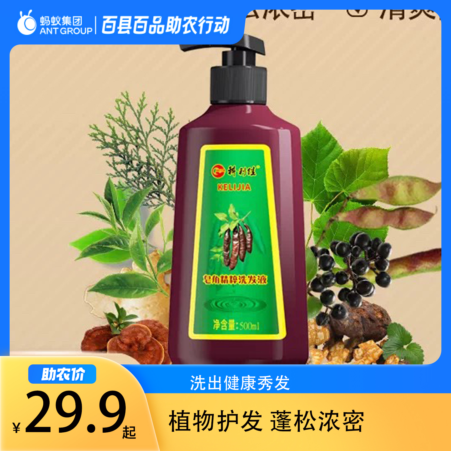 天然植物皂角洗发水头皮无屑顺滑