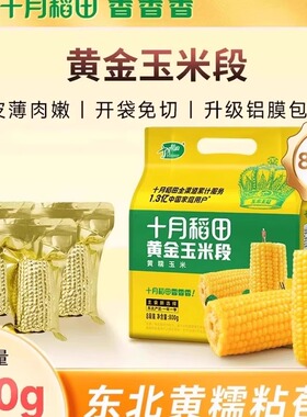 十月稻田黄金玉米段黄糯黑低脂软新鲜苞米东北玉米真空包装袋私焙
