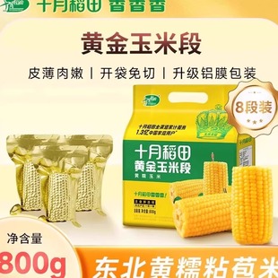 十月稻田黄金玉米段黄糯黑低脂软新鲜苞米东北玉米真空包装袋私焙