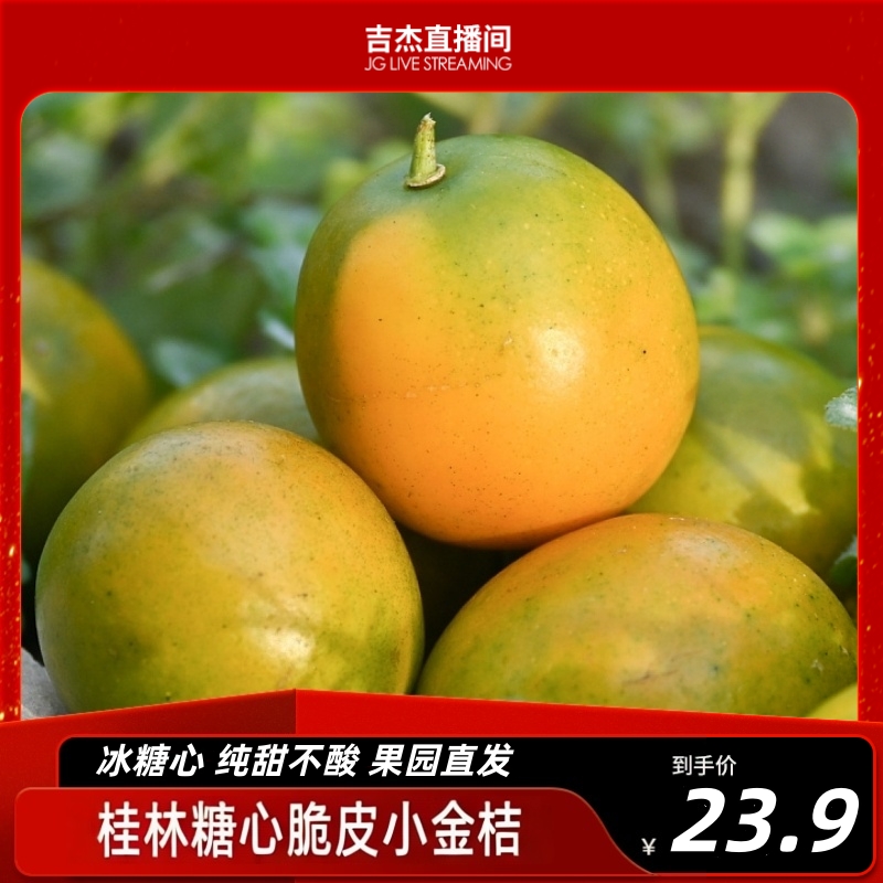 广西脆皮金桔纯甜不酸现摘当季新鲜水果糖心小金蜜桔子包邮