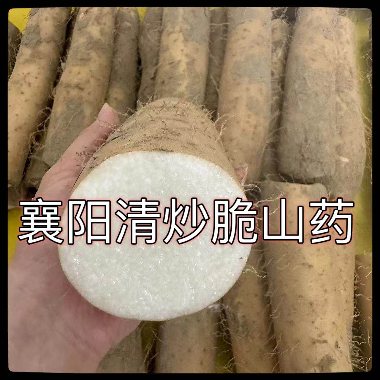 2025新鲜脆山药淮山药菜山药粗山药农家露天种植产地直发