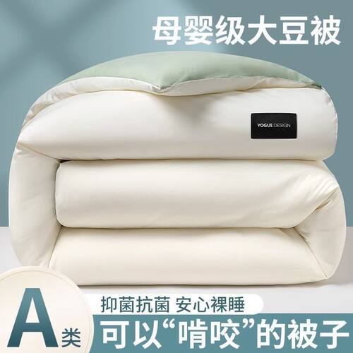 Soybean Fiber Warm Quilt Quilt Winter Thickened Class A Feat