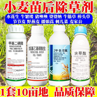 小麦苗后专用除草烂根剂大包装打10亩节节麦野燕麦播娘蒿看麦娘药