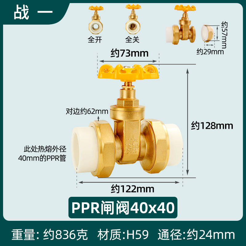 PPR双活接闸阀50铜32总阀门20y自来水管开关25热熔4分40球阀6分1