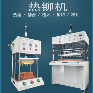 CCS线束热铆机采集母排新能源储能塑料柱子伺服热熔机压螺母