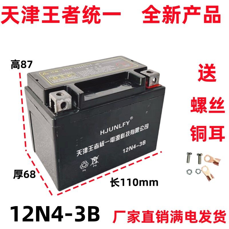 12V4A摩托车电池蓄瓶助力车飘锐新大陆DIO豪美50大路易