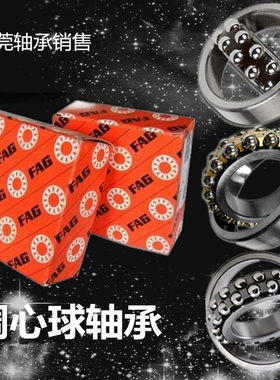 德国FAG调心球轴承 1200 1201 1202 1203 1204 1205 K TV TVH C3