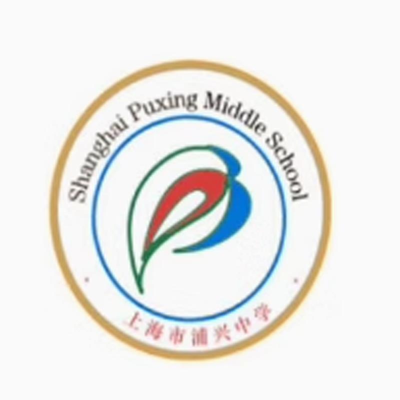 上海市浦兴中学校服短袖图片