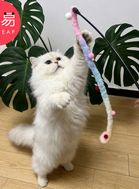 逗猫棒E1pq808-长杆猫咪逗猫棒长条毛绒逗猫绳小猫宠物玩具用品