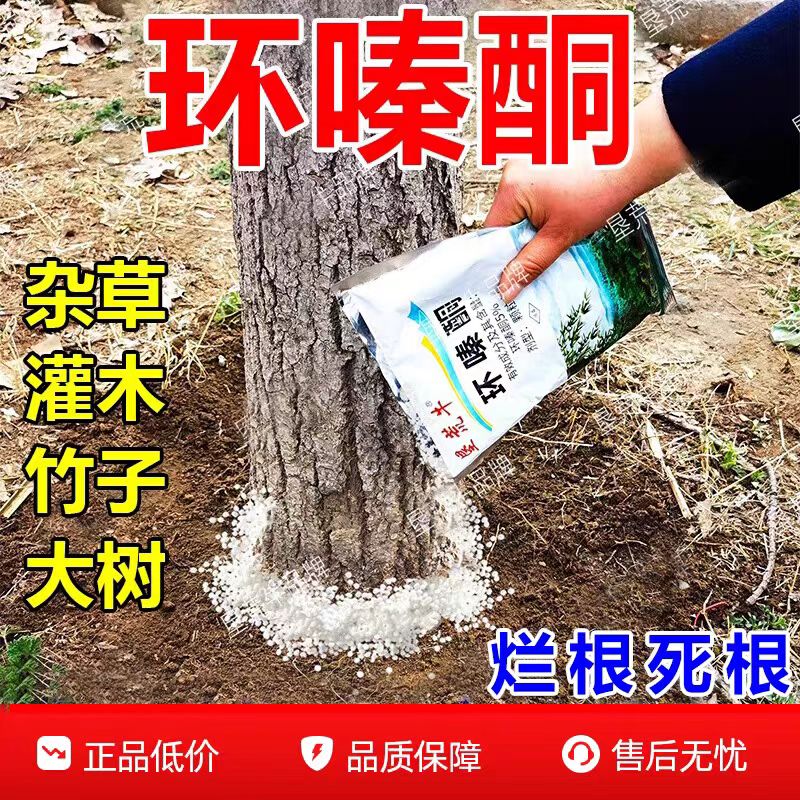 环嗪哃烂根除大杂树专用药正品环秦泰酮铜除草烂根剂一扫光竹子药