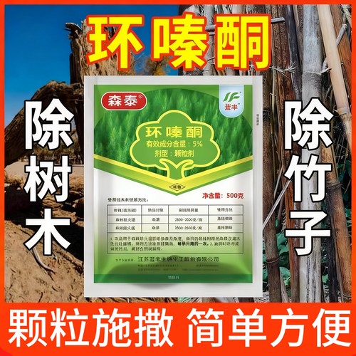 杂竹净环嗪哃不复发竹子药