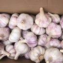 农家自种大蒜头紫白皮超大果新干蒜当季 新鲜晾晒大蒜瓣