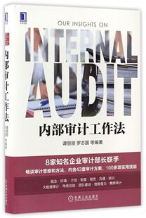 内部审计工作法(精)