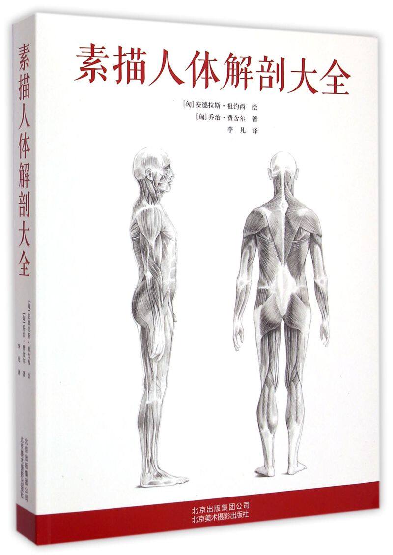 素描人体解剖大全