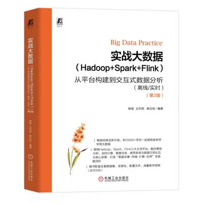 实战大数据:Hadoop+Spark+Flink:从平台构建到交互式数据分析:离线/实时 杨俊 王年明 谢志刚 Spark 大数据 大数据分析 数据仓库